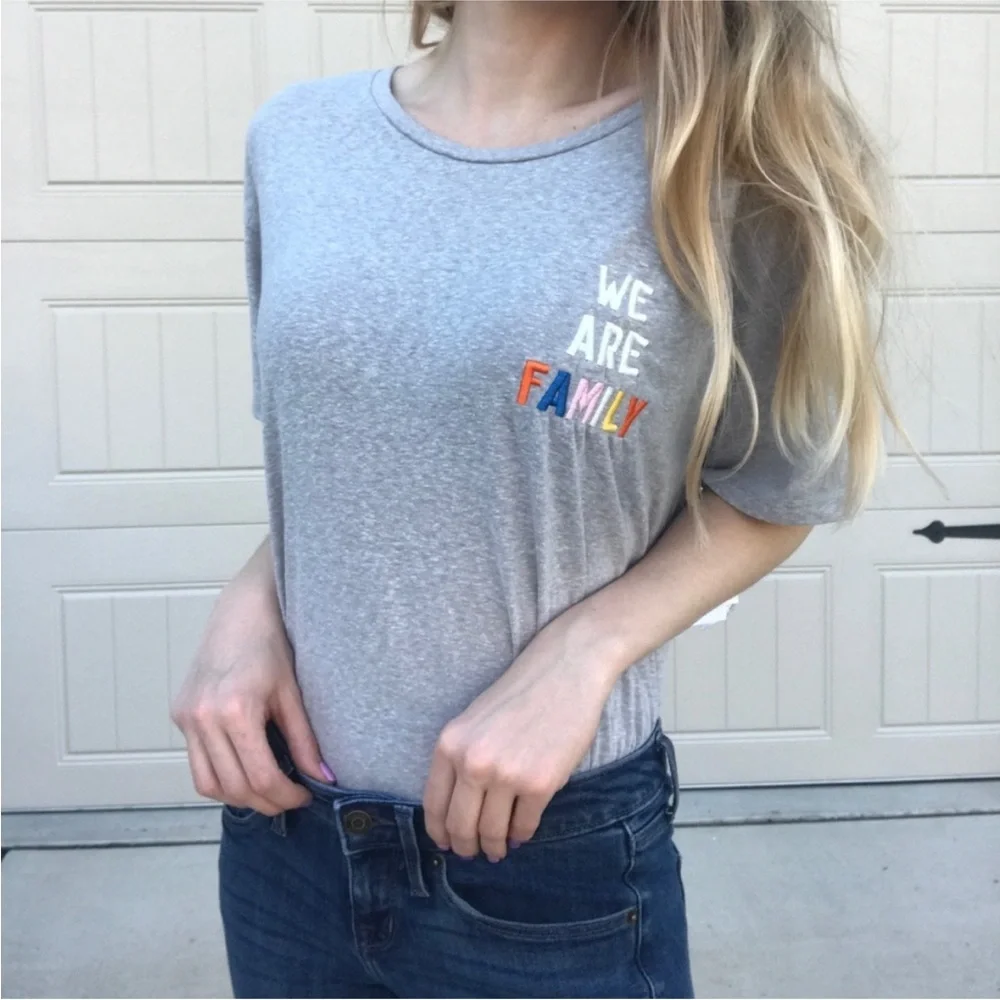 Junk Food We Are Family Embroidered Tee Gray Cotton M